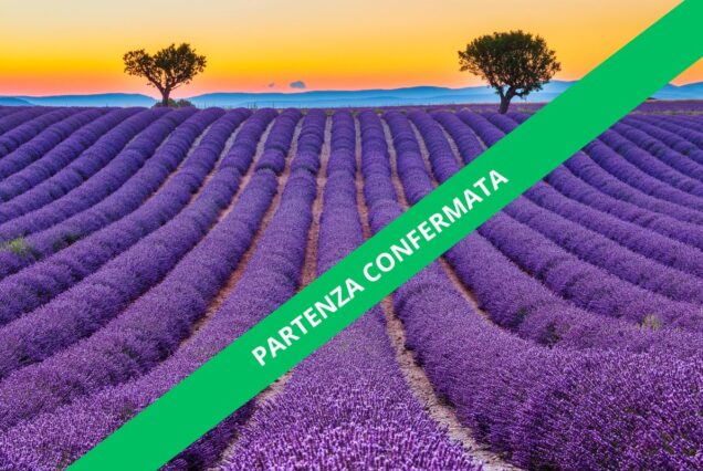 Provenza in Fiore: Viaggio di gruppo in Camper proprio tra Lavanda, Borghi e Sapori Autentici