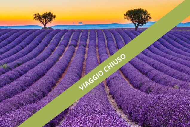 Provenza in Fiore: Viaggio di gruppo in Camper proprio tra Lavanda, Borghi e Sapori Autentici