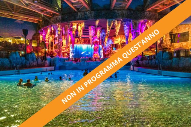 I Segreti e le Meraviglie della Foresta Nera: Viaggio di Gruppo in Camper per Famiglie