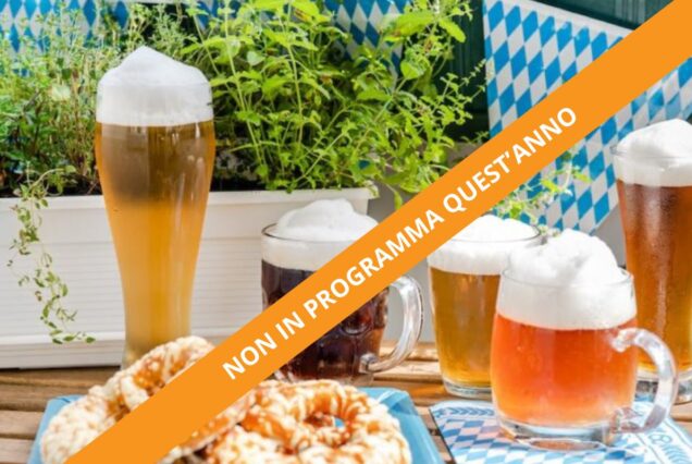 Alla Scoperta dell'Arte della Birra in Germania - Viaggio di Gruppo Con Camper Proprio
