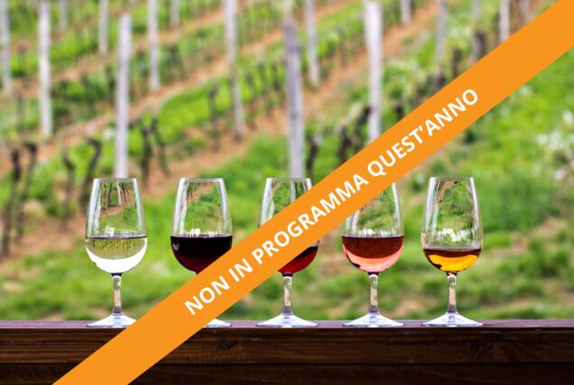 Viaggio di Gruppo in Camper - Tour di Degustazione di Vini e Champagne in Francia con Gianluca Gabanini