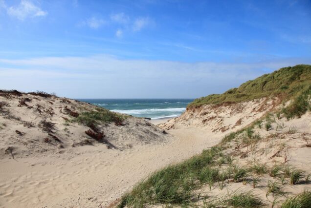 Jutland Selvaggio in Camper